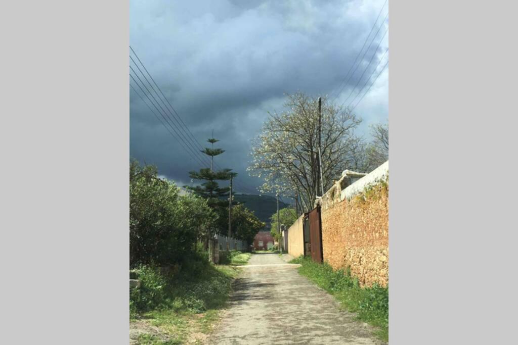 Maria's Peaceful Nest La Canea