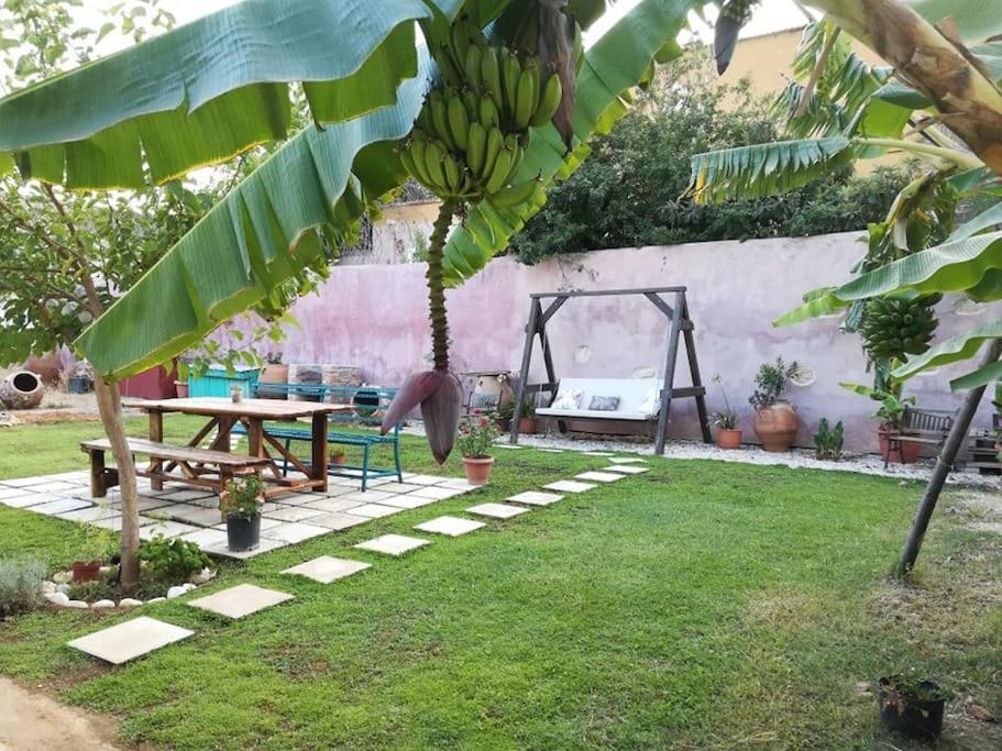 Maria's Peaceful Nest Casa vacanze *